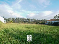 Terreno R�stico T0 - Santiago de Riba-Ul, Oliveira de Azem�is, Aveiro - Miniatura: 4/11