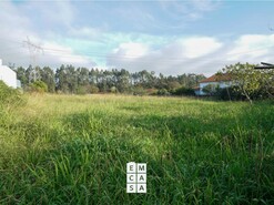 Terreno R�stico T0 - Santiago de Riba-Ul, Oliveira de Azem�is, Aveiro - Miniatura: 5/11