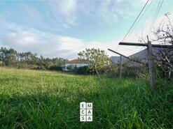 Terreno R�stico T0 - Santiago de Riba-Ul, Oliveira de Azem�is, Aveiro - Miniatura: 6/11