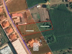 Terreno R�stico T0 - Santiago de Riba-Ul, Oliveira de Azem�is, Aveiro - Miniatura: 11/11