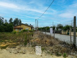 Terreno R�stico T0 - S�o Martinho da G�ndara, Oliveira de Azem�is, Aveiro - Miniatura: 4/16