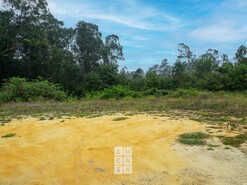 Terreno R�stico T0 - S�o Martinho da G�ndara, Oliveira de Azem�is, Aveiro - Miniatura: 5/16