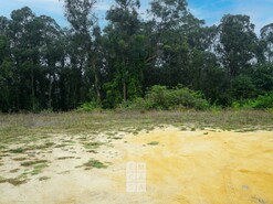 Terreno R�stico T0 - S�o Martinho da G�ndara, Oliveira de Azem�is, Aveiro - Miniatura: 6/16