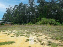 Terreno R�stico T0 - S�o Martinho da G�ndara, Oliveira de Azem�is, Aveiro - Miniatura: 8/16