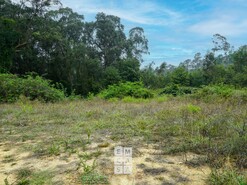 Terreno R�stico T0 - S�o Martinho da G�ndara, Oliveira de Azem�is, Aveiro - Miniatura: 9/16