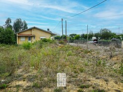 Terreno R�stico T0 - S�o Martinho da G�ndara, Oliveira de Azem�is, Aveiro - Miniatura: 11/16