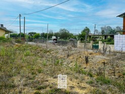 Terreno R�stico T0 - S�o Martinho da G�ndara, Oliveira de Azem�is, Aveiro - Miniatura: 12/16