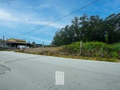 Terreno R�stico T0 - S�o Martinho da G�ndara, Oliveira de Azem�is, Aveiro - Miniatura: 16/16