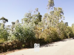 Terreno R�stico T0 - Santiago de Riba-Ul, Oliveira de Azem�is, Aveiro - Miniatura: 2/8