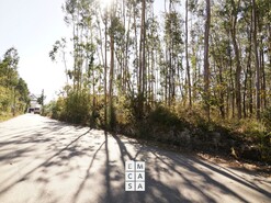 Terreno R�stico T0 - Santiago de Riba-Ul, Oliveira de Azem�is, Aveiro - Miniatura: 3/8
