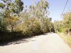 Terreno R�stico T0 - Santiago de Riba-Ul, Oliveira de Azem�is, Aveiro - Miniatura: 5/8