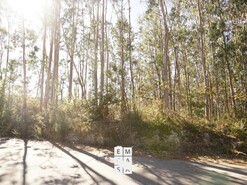 Terreno R�stico T0 - Santiago de Riba-Ul, Oliveira de Azem�is, Aveiro - Miniatura: 6/8