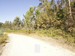 Terreno R�stico T0 - Santiago de Riba-Ul, Oliveira de Azem�is, Aveiro - Miniatura: 8/8