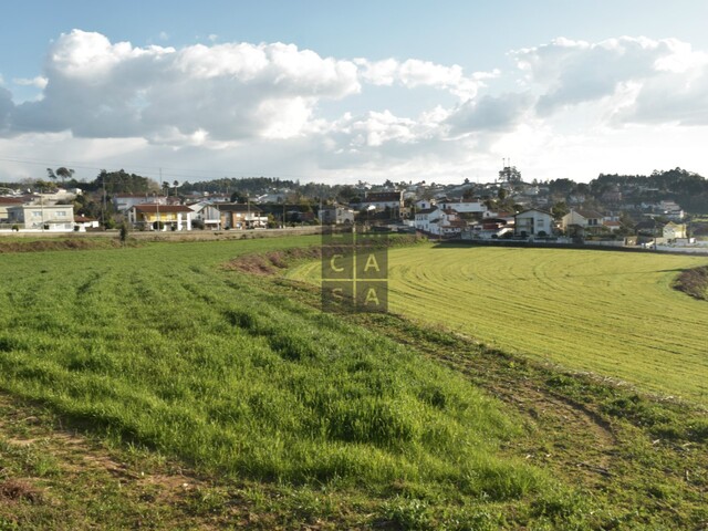 Terreno R�stico T0 - Mosteir�, Santa Maria da Feira, Aveiro - Imagem grande
