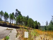 Terreno Rstico - Nogueira do Cravo, Oliveira de Azemis, Aveiro - Miniatura: 1/9