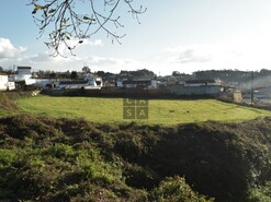 Terreno R�stico T0 - Mosteir�, Santa Maria da Feira, Aveiro - Miniatura: 1/2