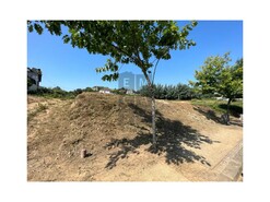 Terreno R�stico T0 - S�o Jo�o da Madeira, S�o Jo�o da Madeira, Aveiro - Miniatura: 8/13