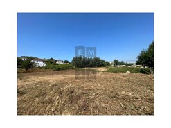 Terreno R�stico T0 - S�o Jo�o da Madeira, S�o Jo�o da Madeira, Aveiro - Miniatura: 9/13