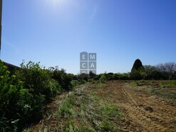 Terreno R�stico T0 - Esmoriz, Ovar, Aveiro - Miniatura: 6/23