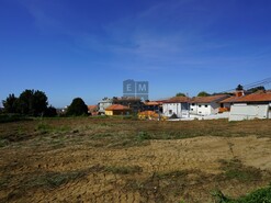 Terreno R�stico T0 - Esmoriz, Ovar, Aveiro - Miniatura: 9/23