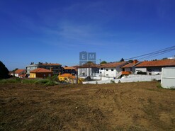 Terreno R�stico T0 - Esmoriz, Ovar, Aveiro - Miniatura: 12/23