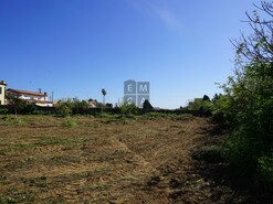 Terreno R�stico T0 - Esmoriz, Ovar, Aveiro - Miniatura: 21/23