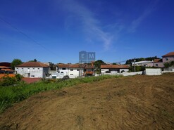 Terreno R�stico T0 - Esmoriz, Ovar, Aveiro - Miniatura: 23/23