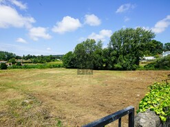 Terreno R�stico T0 - Santa Maria da Feira, Santa Maria da Feira, Aveiro - Miniatura: 3/14