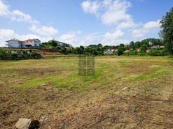 Terreno R�stico T0 - Santa Maria da Feira, Santa Maria da Feira, Aveiro - Miniatura: 13/14