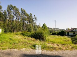 Terreno R�stico T0 - Santiago de Riba-Ul, Oliveira de Azem�is, Aveiro - Miniatura: 10/20