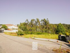 Terreno R�stico T0 - Santiago de Riba-Ul, Oliveira de Azem�is, Aveiro - Miniatura: 14/20