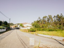 Terreno R�stico T0 - Santiago de Riba-Ul, Oliveira de Azem�is, Aveiro - Miniatura: 15/20