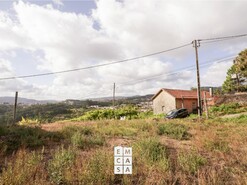 Terreno R�stico T0 - Macieira de Cambra, Vale de Cambra, Aveiro - Miniatura: 3/10