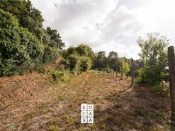 Terreno R�stico T0 - Macieira de Cambra, Vale de Cambra, Aveiro - Miniatura: 4/10