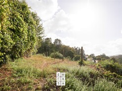 Terreno R�stico T0 - Macieira de Cambra, Vale de Cambra, Aveiro - Miniatura: 5/10