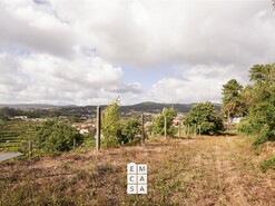 Terreno R�stico T0 - Macieira de Cambra, Vale de Cambra, Aveiro - Miniatura: 6/10