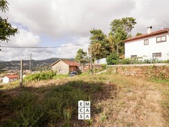 Terreno R�stico T0 - Macieira de Cambra, Vale de Cambra, Aveiro - Miniatura: 7/10