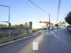 Terreno R�stico T0 - Branca, Albergaria-a-Velha, Aveiro - Miniatura: 1/14