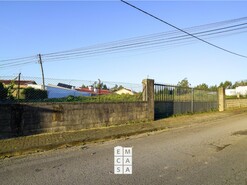 Terreno R�stico T0 - Branca, Albergaria-a-Velha, Aveiro - Miniatura: 2/14