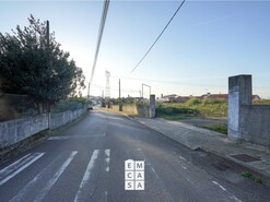 Terreno R�stico T0 - Branca, Albergaria-a-Velha, Aveiro - Miniatura: 5/14