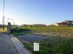Terreno R�stico T0 - Branca, Albergaria-a-Velha, Aveiro - Miniatura: 6/14