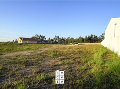 Terreno R�stico T0 - Branca, Albergaria-a-Velha, Aveiro - Miniatura: 8/14