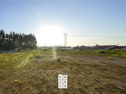 Terreno R�stico T0 - Branca, Albergaria-a-Velha, Aveiro - Miniatura: 9/14