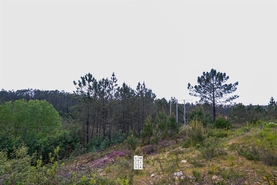 Terreno Urbano T0 - Nogueira do Cravo, Oliveira de Azem�is, Aveiro - Miniatura: 3/11