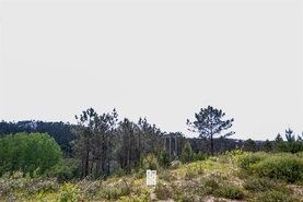 Terreno Urbano T0 - Nogueira do Cravo, Oliveira de Azem�is, Aveiro - Miniatura: 8/11