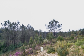 Terreno Urbano T0 - Nogueira do Cravo, Oliveira de Azem�is, Aveiro - Miniatura: 10/11