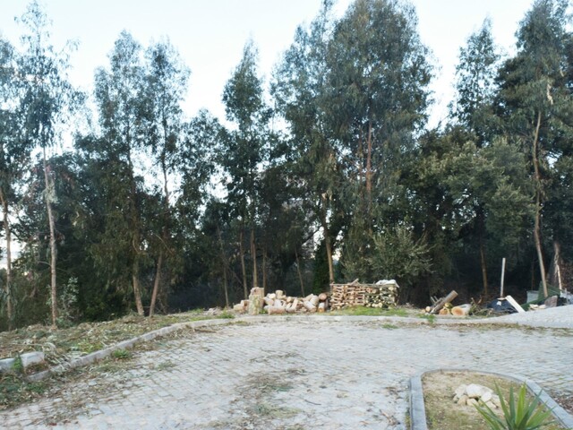 Terreno R�stico T0 - Mosteir�, Santa Maria da Feira, Aveiro - Imagem grande