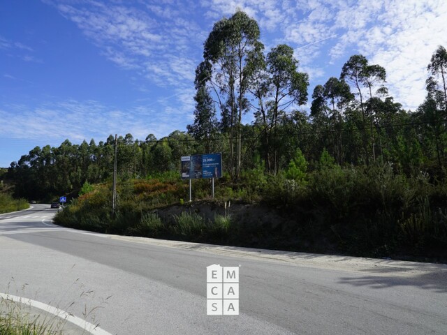 Terreno R�stico T0 - Nogueira do Cravo, Oliveira de Azem�is, Aveiro - Imagem grande