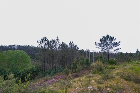 Terreno Urbano T0 - Nogueira do Cravo, Oliveira de Azem�is, Aveiro