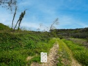 Terreno Rstico - Mosteir, Santa Maria da Feira, Aveiro - Miniatura: 6/9